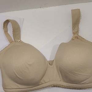 A pea in the pod bra 36E no underwear
